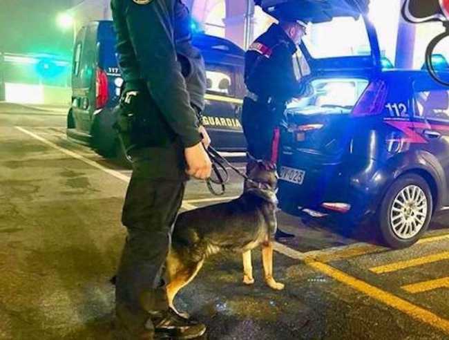 controlli carabinieri unita cinofile 199830.660x368