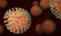 coronavirus 4972480 640