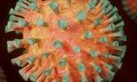 coronavirus immagine libera