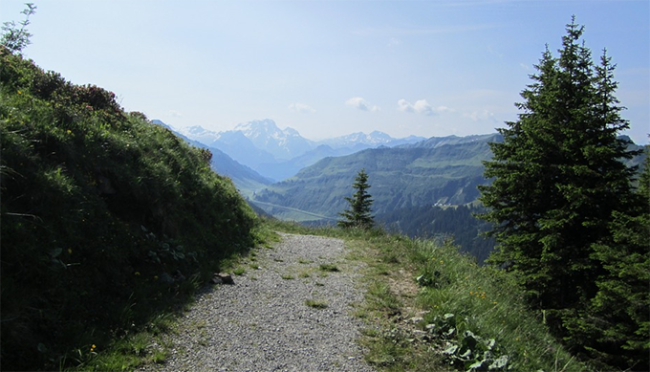 corsa in montagna
