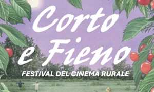 corto e fieno locandina