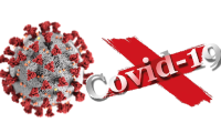 covid 19 rendering virus