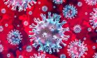 covid 19 virus