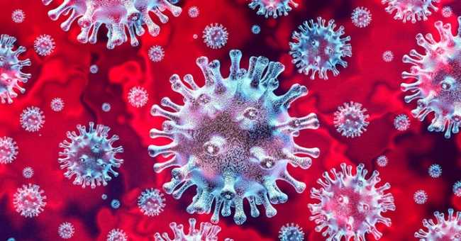 covid 19 virus