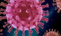 covid virus rosso