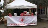 cri stresa