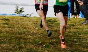 cross2