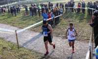 cross cinque mulini