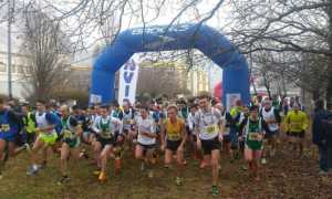 cross tecnop