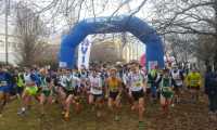 cross tecnop