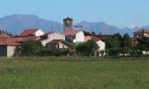 cureggio