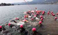 cusio cup19