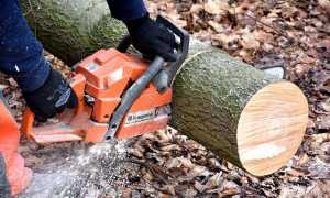 cutting wood 2146507 640