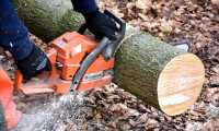 cutting wood 2146507 640