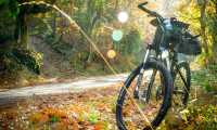 cycling 2846201 640