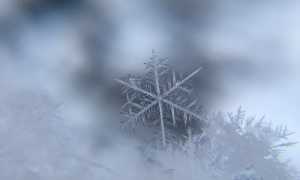 damian mccoig 2HqpqSqy0zg unsplash