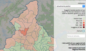 dati covid comune ossola