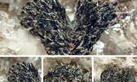 deveroite minerale mix 19
