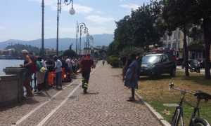 disperso intra profugo 2