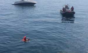 disperso intra profugo