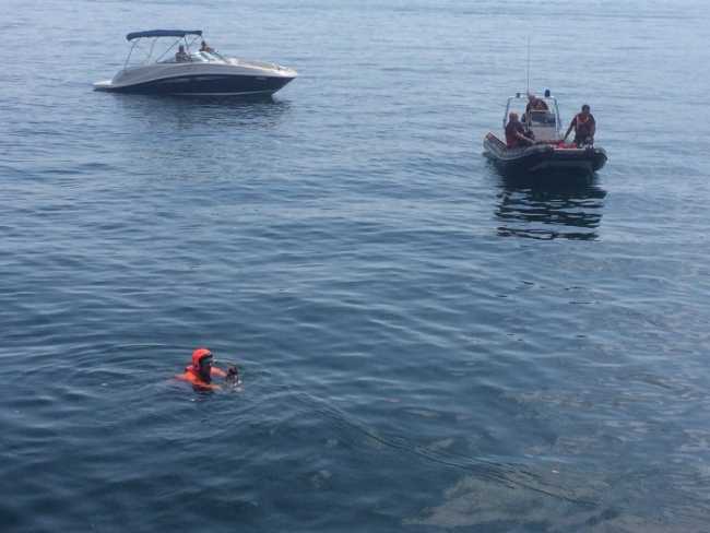 disperso intra profugo