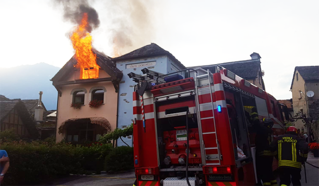 divin porcello adotta una pioda