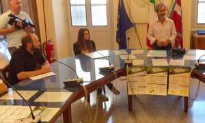 domo green salvo iacopino