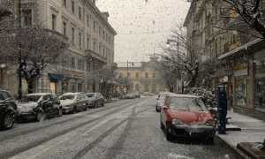 domo neve