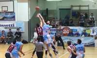 domo siena basket
