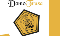 domo trusa logo carnevale