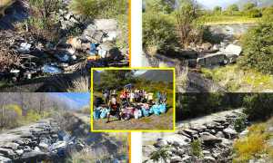 domosostenibile bicincitta confronto