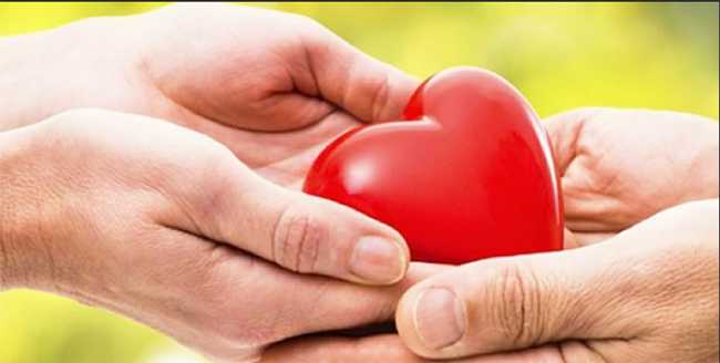 donazione organi mano cuore