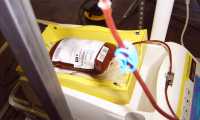 donazione sangue