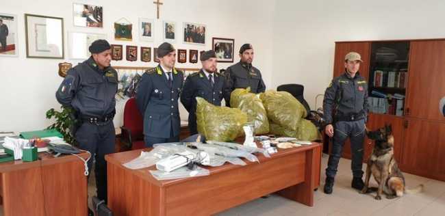 droga bav tre