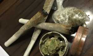 droga gdf cusio
