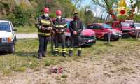 drone vdf