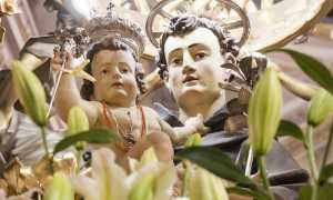 e2cb315d b1c0 8a65 22a0 35956f485bff copia