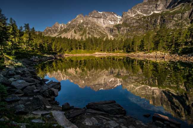 e48eff83 cf6e 41c1 ad96 83d55146a15c