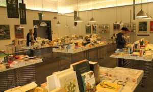 editoria giardini6