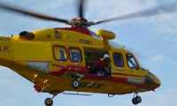 elicott 118
