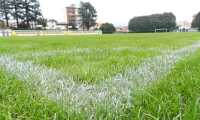 erba stadio pedroli