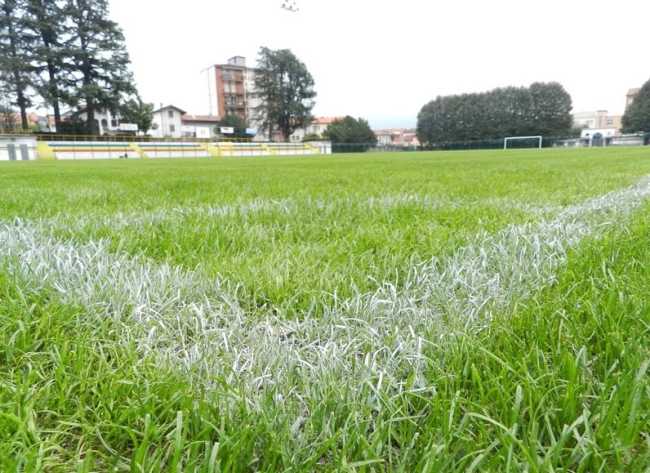 erba stadio pedroli
