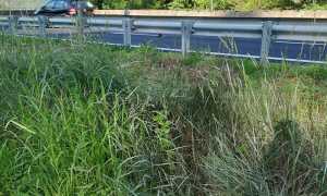 erba superstrada