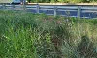 erba superstrada