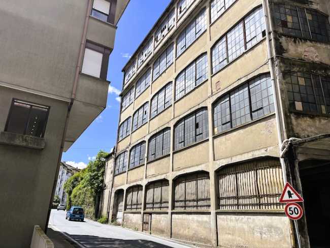 ex Irmel copia