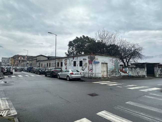 ex macello domo
