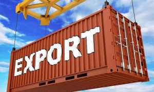 export