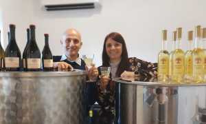 f9501f4c 04a2 7bdf b81d ac6b0dd73c4d