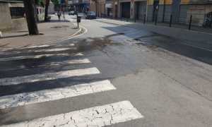 f cervi acqua
