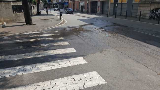 f cervi acqua